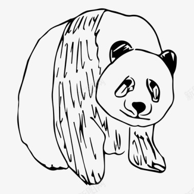 动物熊猫动物自然图标图标