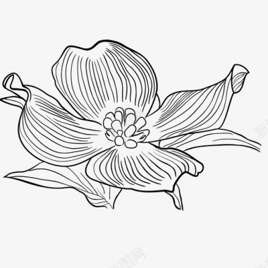山茱萸植物花卉图标图标