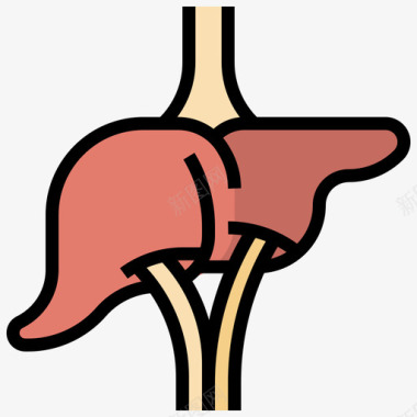 肝脏人体解剖学5线颜色图标图标