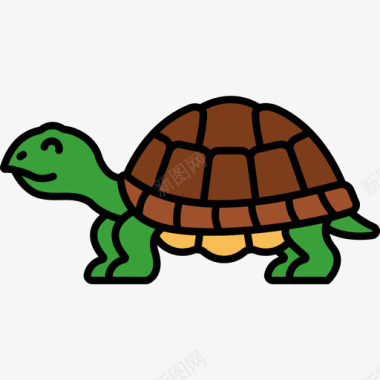 动物海龟动物27线形颜色图标图标