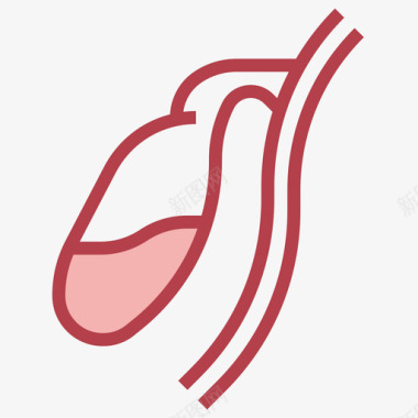 人体关节胆囊人体解剖学2其他图标图标