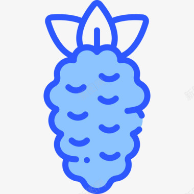 覆盆子水果19蓝色图标图标