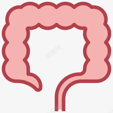 树根解剖大肠人体解剖学2其他图标图标