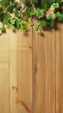 木板纹理背景下的植物H5背景背景