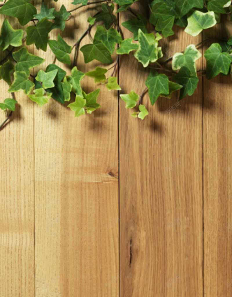 木板纹理背景下的植物H5背景jpg设计背景_88icon https://88icon.com H5 H5背景 小清新 文艺 木头 木板 木板纹理背景下的植物H5背景 植物 简约 素材 纹理 背景