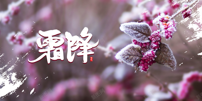 霜降霜花笔刷背景图psd设计背景_88icon https://88icon.com 霜降 霜花 背景图 笔刷 秋天