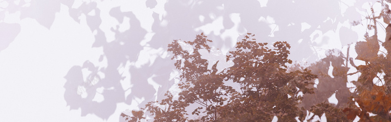 紫色树影清新banner背景jpg设计背景_88icon https://88icon.com banner背景 摄影 文艺 树叶影子 树叶阴影 树影 海报banner 淡雅 清新 素净 紫色 风景