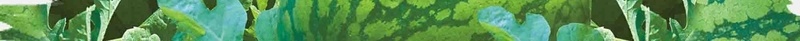 西瓜采摘园海报促销海报背景模板psd设计背景_88icon https://88icon.com 促销 健康 水果 海报 绿色 背景模板 营养 西瓜采摘园 设计