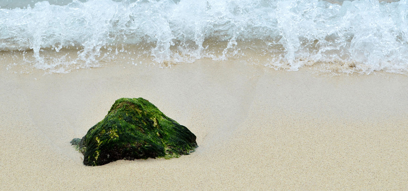海滩石头背景图背景