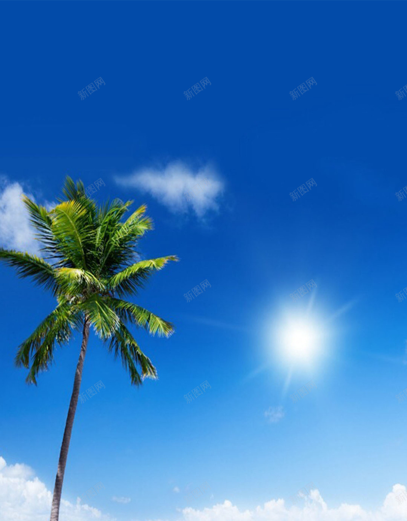 沙滩上的椰子树H5背景jpg设计背景_88icon https://88icon.com H5素材 光线 小清新 文艺 椰子树 沙子 清新 简约 蓝色