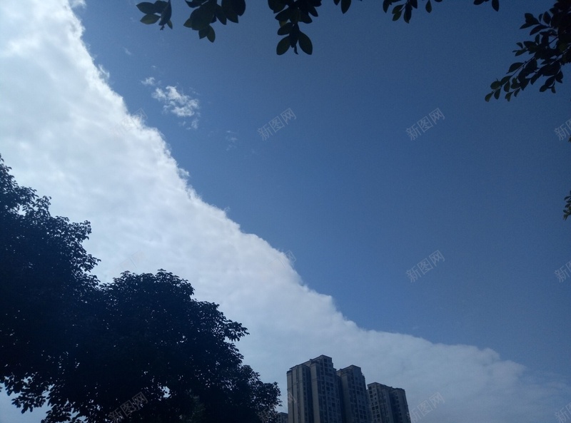 蓝天与白云的美好分界线jpg设计背景_88icon https://88icon.com 蓝天 心情 绿叶 白云