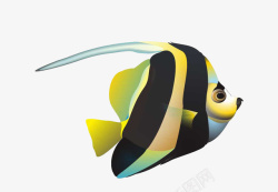 黄条纹鱼黄黑色鱼高清图片