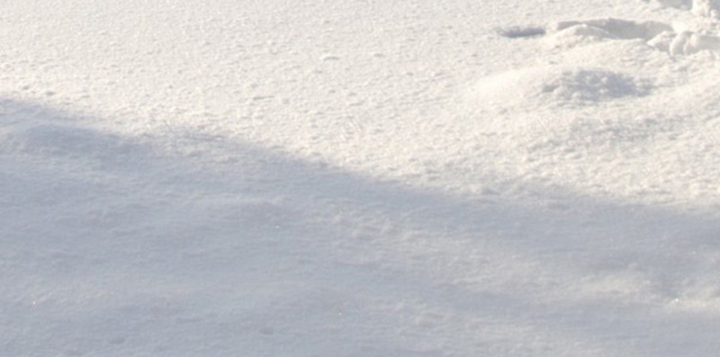 白色雪地简约H5背景素材jpg设计背景_88icon https://88icon.com 白色 简约 雪地 树木 冰冻 H5 摄影 风景