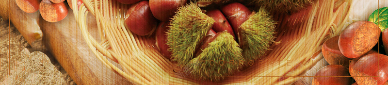 美味板栗简约几何米色bannerpsd设计背景_88icon https://88icon.com 上好板栗 广告牌 招牌 板栗仁 板栗栗子 板栗素材 栗子 糖炒栗子 纯天然食品 野板栗 野生干栗王