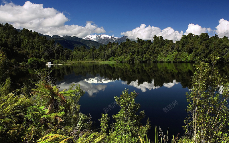 绿色植物河流高清合成素材jpg设计背景_88icon https://88icon.com 绿色植物 河流 高清合成 素材