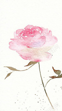 手绘水彩玫瑰花小清新背景H5背景背景