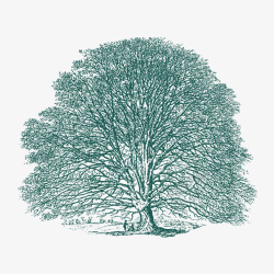 卡通手绘绿色线条绘画树木素材
