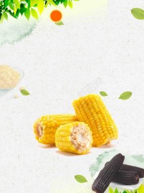 有机蔬菜玉米海报背景模板背景