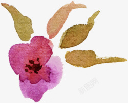 手绘水彩水墨花卉2素材