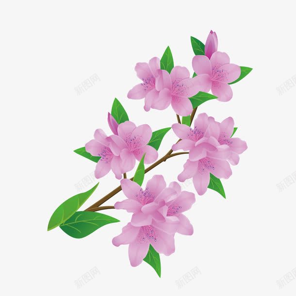 卡通桃花png免抠素材_88icon https://88icon.com 图案 春色 桃花 美景