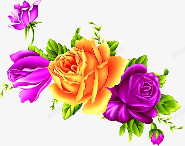 海报植物花朵卡通效果png免抠素材_88icon https://88icon.com 卡通 效果 植物 海报 花朵