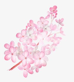 唯美清新森系手绘粉色花朵素材
