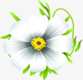 白色唯美简约白色花朵png免抠素材_88icon https://88icon.com 白色 简约 花朵