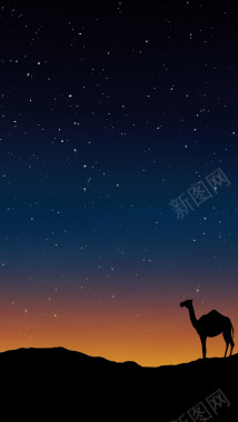 星空下孤独的骆驼H5背景素材背景