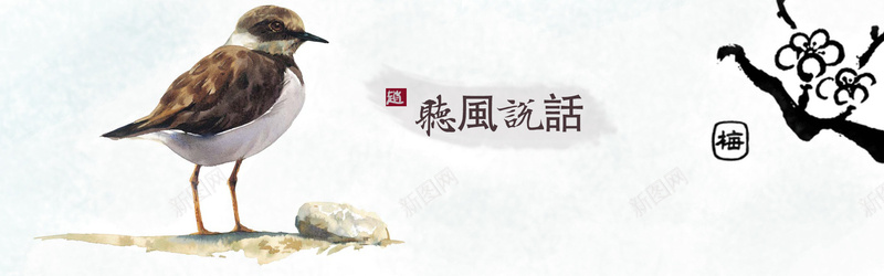 中国画刻画鸟涂抹背景背景