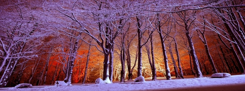 梦幻森林摄影雪背景摄影图片
