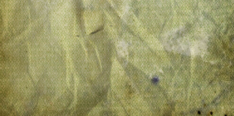 褶皱纹理绿色公司素材H5背景psd设计背景_88icon https://88icon.com 公司 广告 素材 纹理 褶皱 绿色背景 H5背景素材