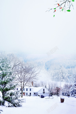 雪地旅游雪乡黑龙江冬季旅游宣传海报高清图片