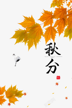 秋分秋天秋分秋季树叶枫叶白鹤高清图片