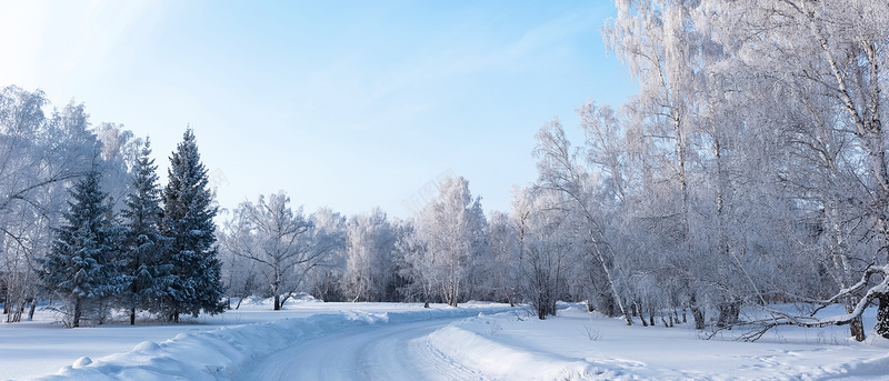 山间雪景jpg设计背景_88icon https://88icon.com 雪景道路 松柏 白雪 海报banner 摄影 山间雪景 风景