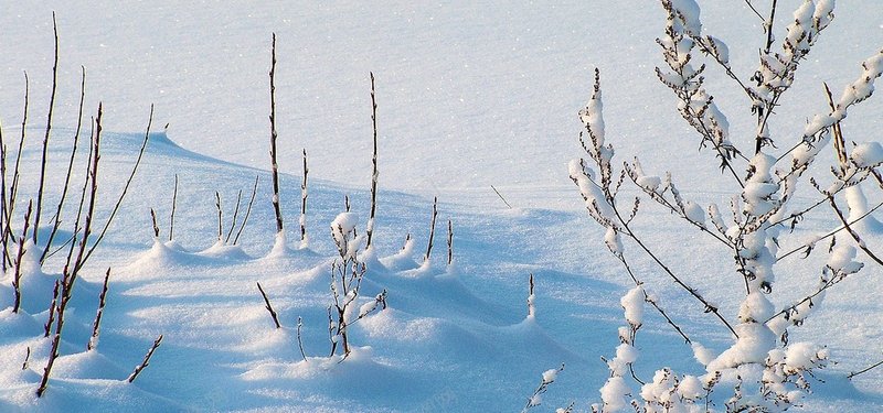 一片白茫茫的雪地图片背景