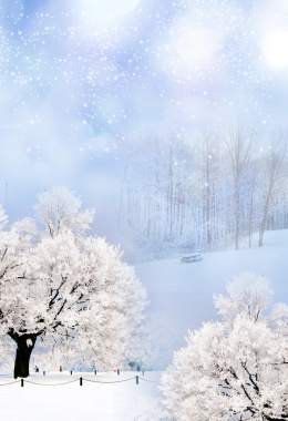 冬季雪花树木白色浪漫海报背景背景