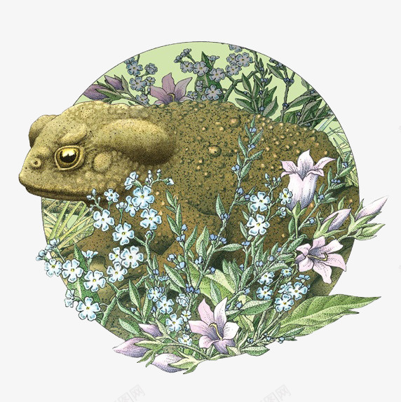 手绘逼真癞蛤蟆png免抠素材_88icon https://88icon.com 动物 叶子 植物 癞蛤蟆 花朵 逼真手绘