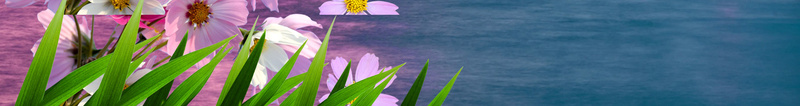 蓝天白云旅游宣传海报psd设计背景_88icon https://88icon.com 大海 宣传海报 小清新 旅游 海景 白云 素材 纸飞机 草 蓝天 阳光 鲜花