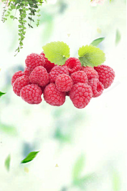 水果店展板背景水果覆盆子果酱背景海报高清图片