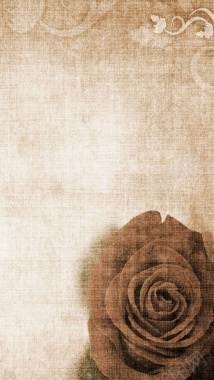 玫瑰花复古H5背景素材背景