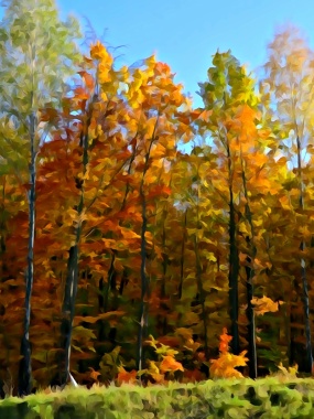 马赛克的秋天森林背景图背景