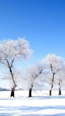 雪天H5背景背景