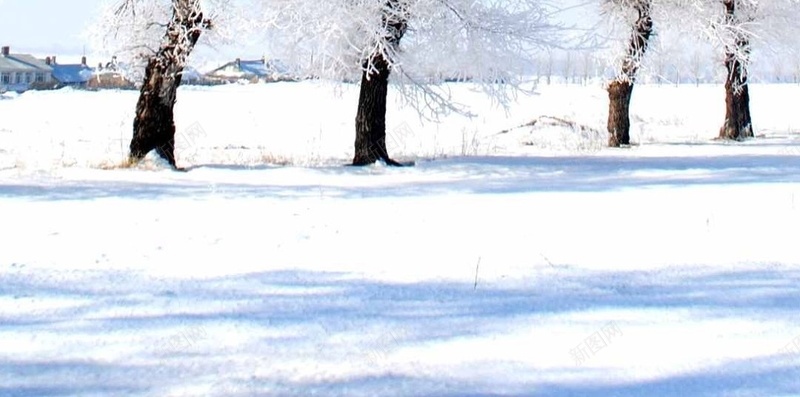 雪天H5背景jpg设计背景_88icon https://88icon.com H5背景 开心 树 梦幻 浪漫 雪 雪地 雪天 雪天背景