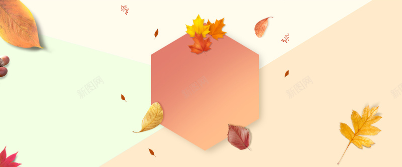 秋季换装几何枫树叶背景背景