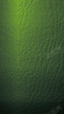 绿色皮革H5素材背景背景