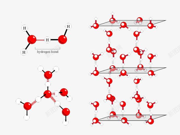 分子元素png免抠素材_88icon https://88icon.com 水分子 生物学 红色 运动