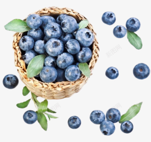 蓝莓水果新鲜png免抠素材_88icon https://88icon.com 好吃 新鲜 水果 蓝莓