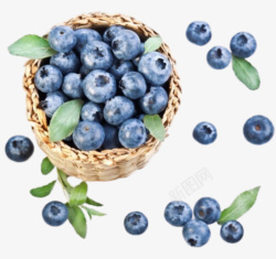 蓝莓水果新鲜素材