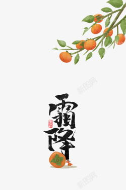 柿子霜降手绘柿子树枝装饰元素高清图片