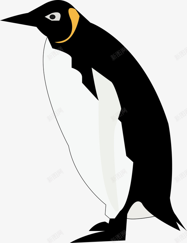 企鹅简笔插画png免抠素材_88icon https://88icon.com 冬天 南极 可爱 帝企鹅